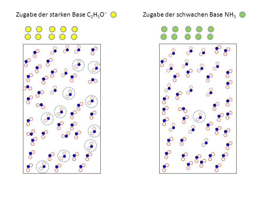 Zugabe der starken Base C2H5O Zugabe der schwachen Base NH3
