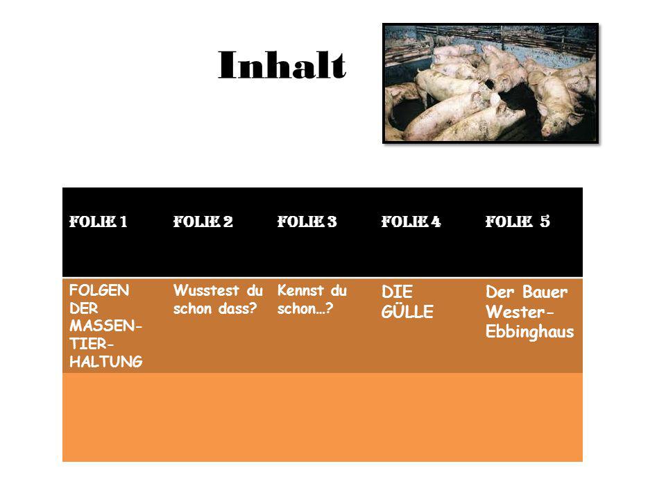 Inhalt Folie 1 Folie 2 Folie 3 Folie 4 Folie 5 DIE GÜLLE Der Bauer