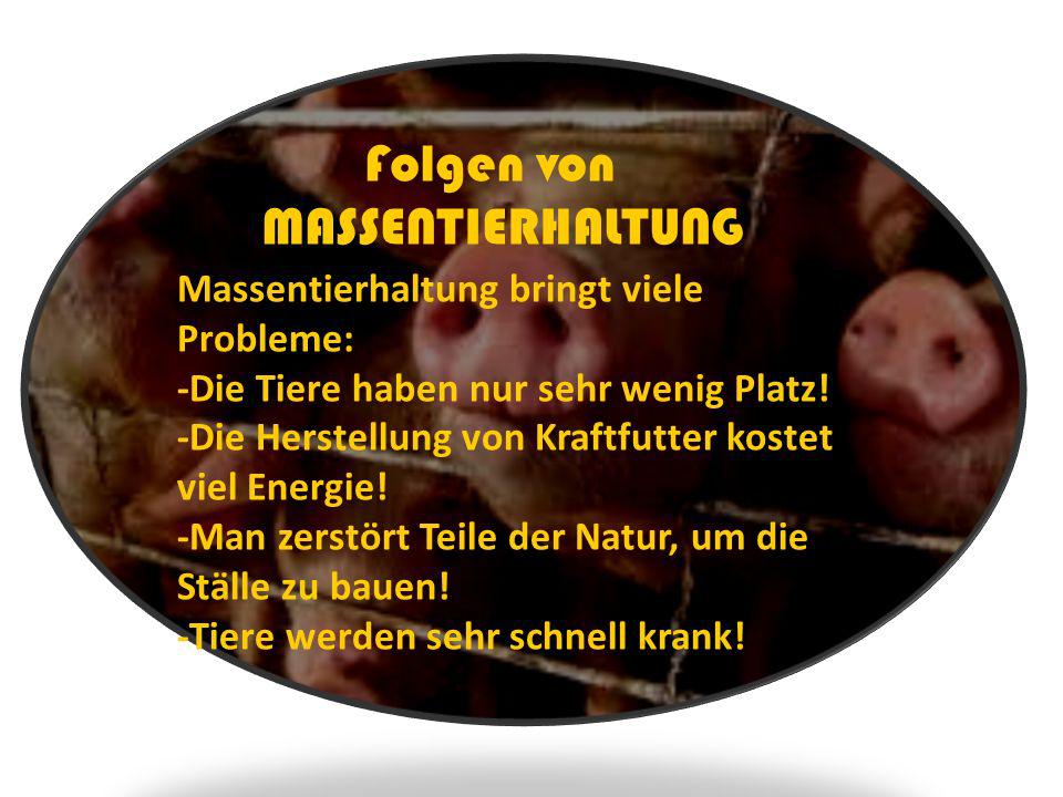 MASSENTIERHALTUNG Folgen von Massentierhaltung bringt viele Probleme: