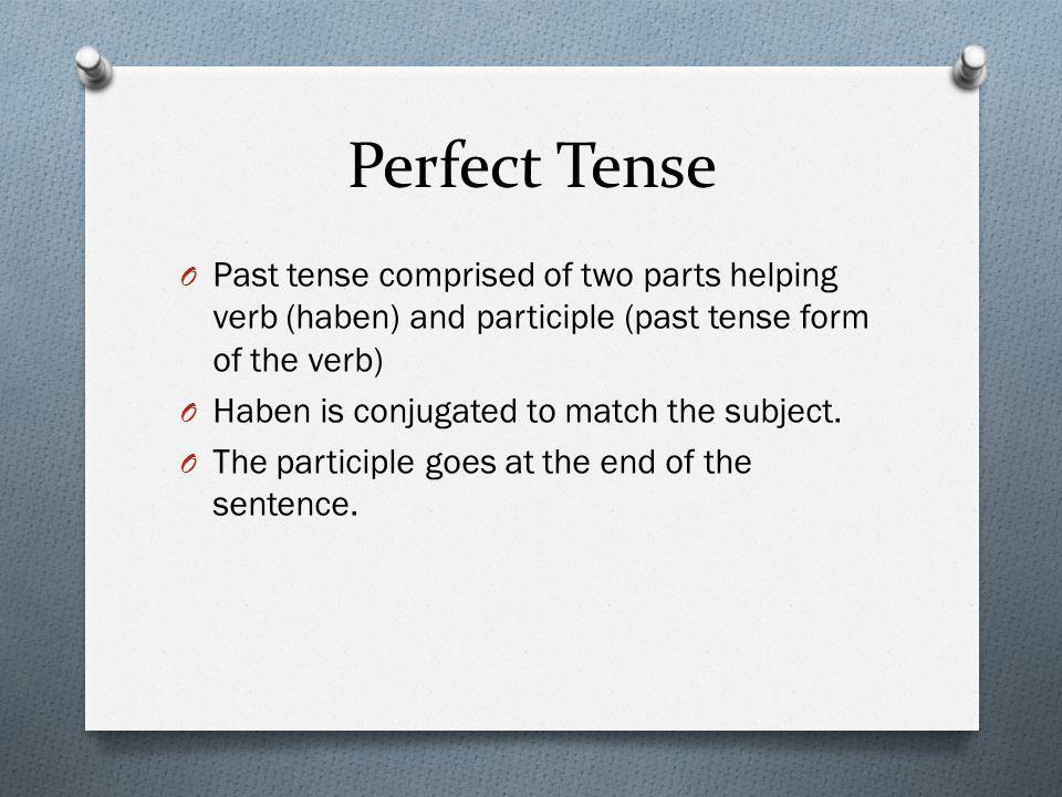 Perfect Tense Past tense comprised of two parts helping verb (haben) and participle (past tense form of the verb)