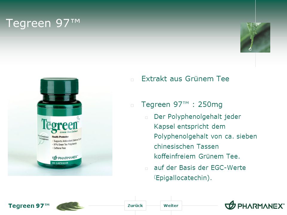 Tegreen 97™ Extrakt aus Grünem Tee Tegreen 97™ : 250mg
