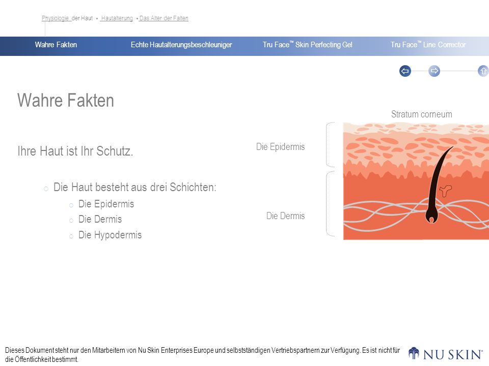 Wahre Fakten Ihre Haut ist Ihr Schutz.