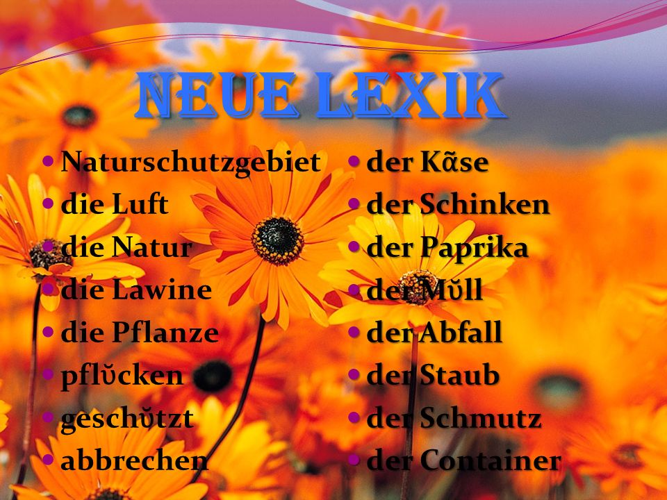 Neue Lexik Naturschutzgebiet die Luft die Natur die Lawine die Pflanze
