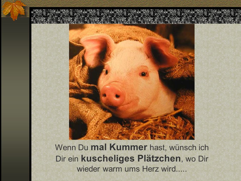 Wenn Du mal Kummer hast, wünsch ich Dir ein kuscheliges Plätzchen, wo Dir wieder warm ums Herz wird.....