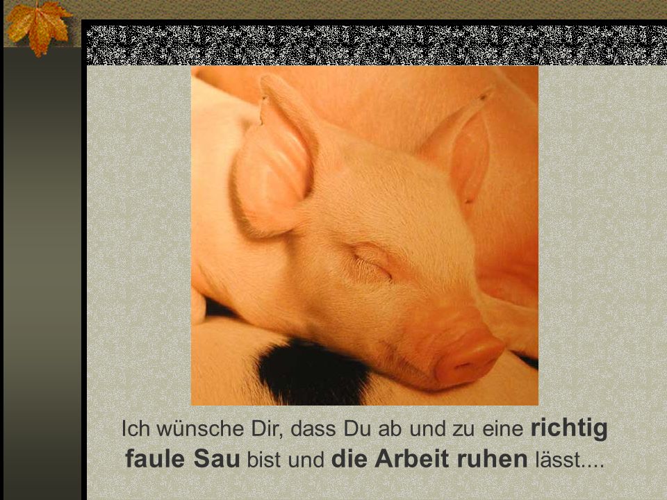 Ich wünsche Dir, dass Du ab und zu eine richtig faule Sau bist und die Arbeit ruhen lässt....