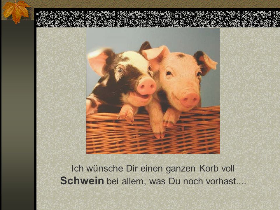 Ich wünsche Dir einen ganzen Korb voll Schwein bei allem, was Du noch vorhast....