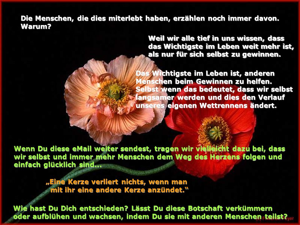 Die Menschen, die dies miterlebt haben, erzählen noch immer davon.