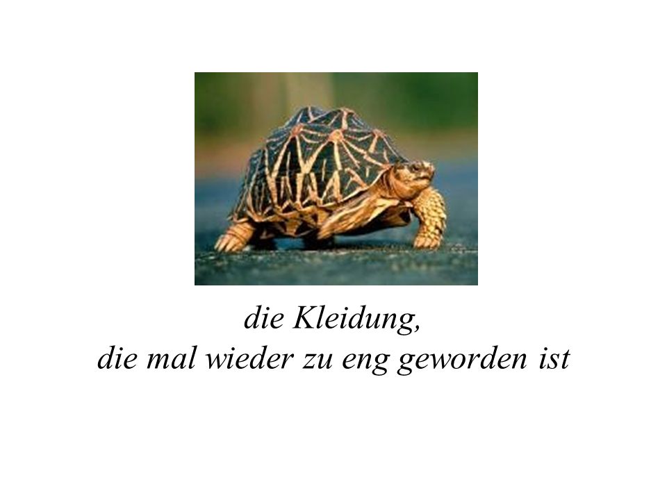die Kleidung, die mal wieder zu eng geworden ist