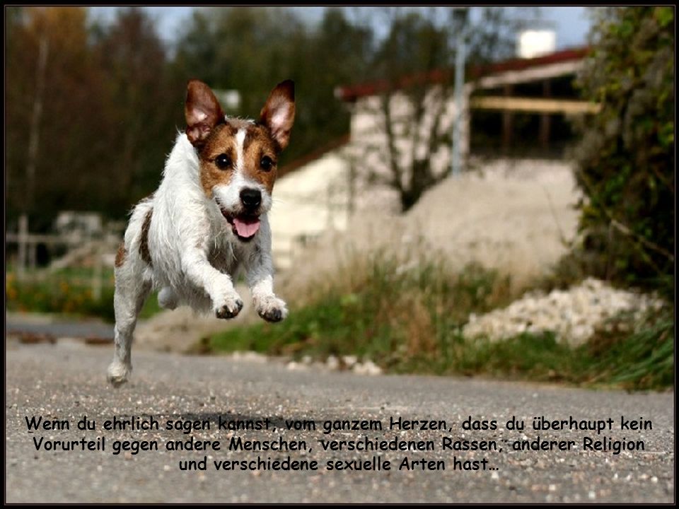 Wenn du ehrlich sagen kannst, vom ganzem Herzen, dass du überhaupt kein Vorurteil gegen andere Menschen, verschiedenen Rassen, anderer Religion und verschiedene sexuelle Arten hast…
