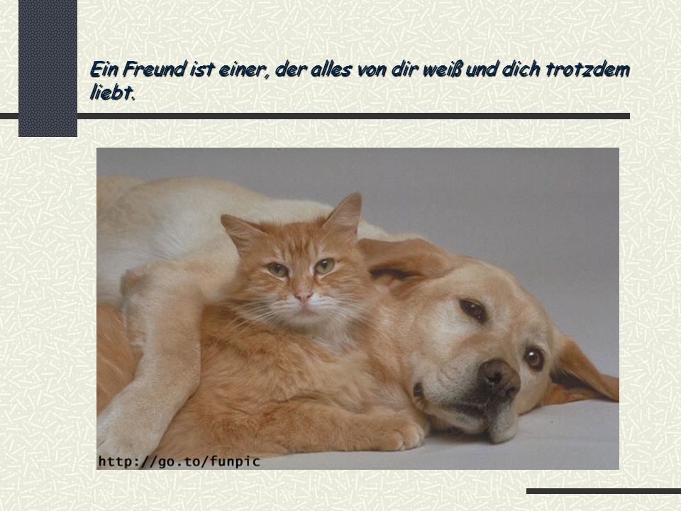 Ein Freund ist einer, der alles von dir weiß und dich trotzdem liebt.