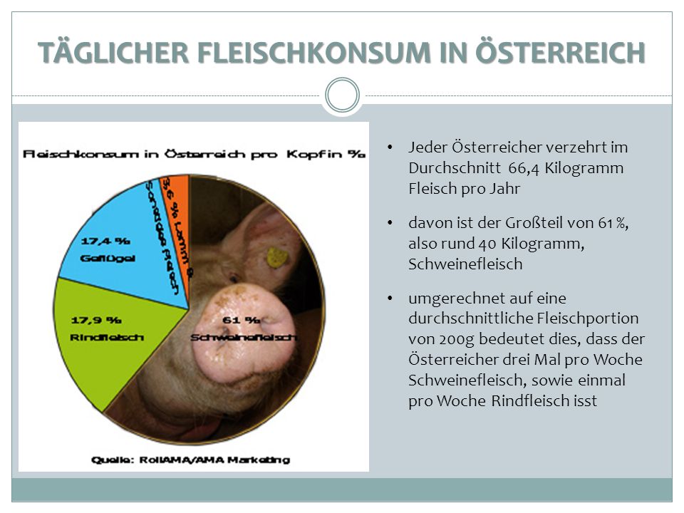 Täglicher Fleischkonsum in Österreich