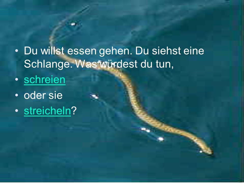 Du willst essen gehen. Du siehst eine Schlange. Was würdest du tun,