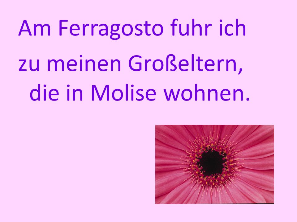 Am Ferragosto fuhr ich zu meinen Großeltern, die in Molise wohnen.