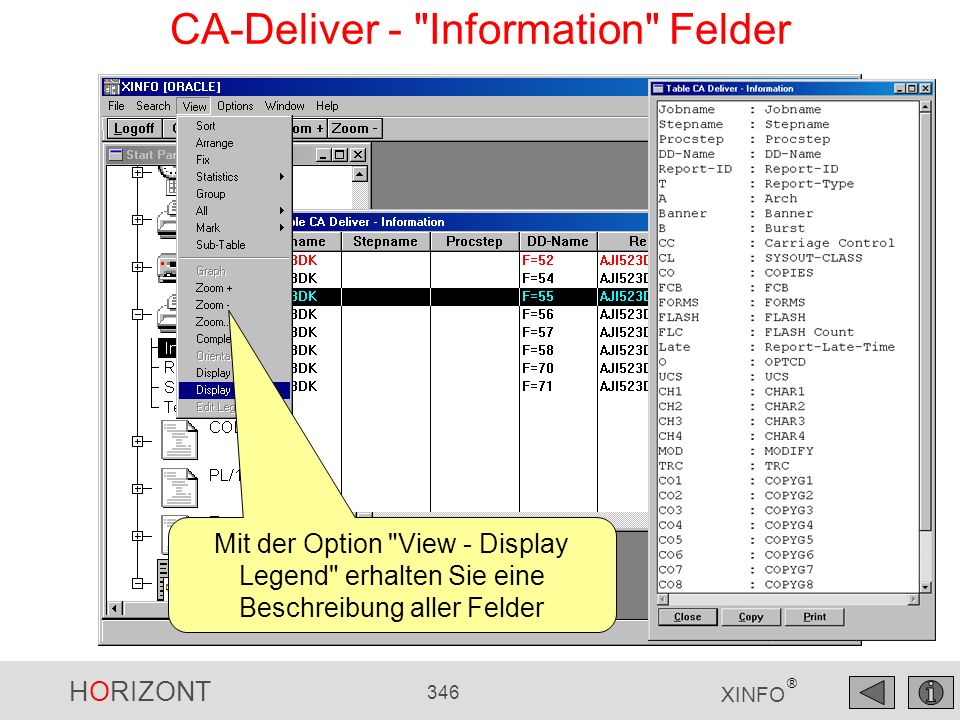 CA-Deliver - Information Felder