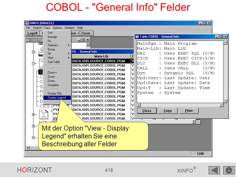 COBOL - General Info Felder