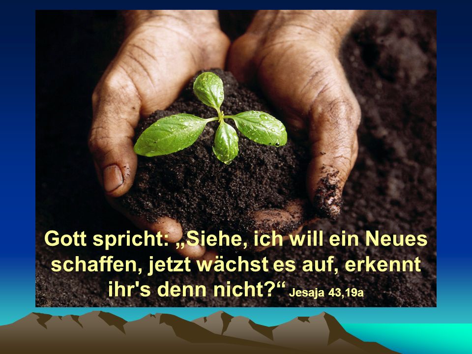 Gott spricht: „Siehe, ich will ein Neues schaffen, jetzt wächst es auf, erkennt ihr s denn nicht Jesaja 43,19a