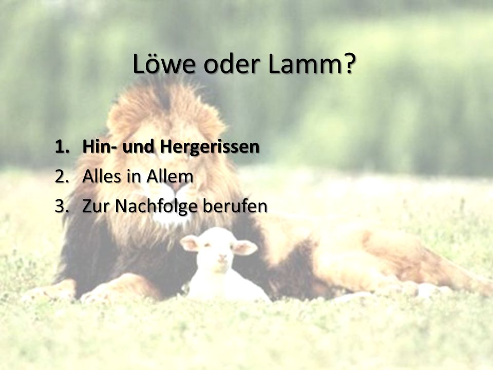 Löwe oder Lamm Hin- und Hergerissen Alles in Allem