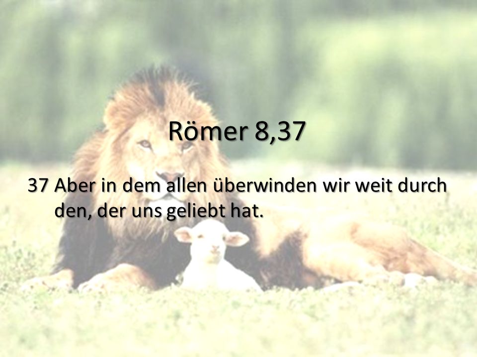 Römer 8,37 37 Aber in dem allen überwinden wir weit durch den, der uns geliebt hat.