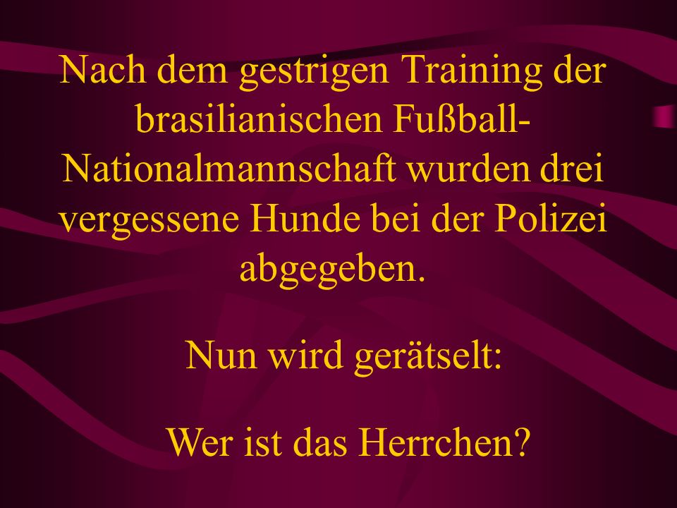 Nach dem gestrigen Training der brasilianischen Fußball-Nationalmannschaft wurden drei vergessene Hunde bei der Polizei abgegeben.
