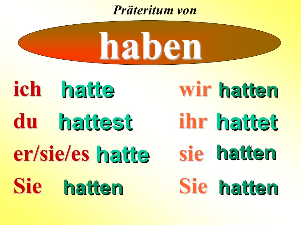 haben ich du er/sie/es Sie hatte wir ihr sie Sie hattest hattet hatte