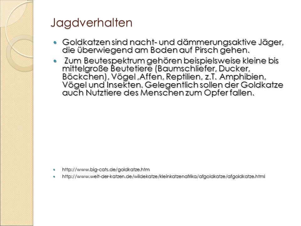 Jagdverhalten Goldkatzen sind nacht- und dämmerungsaktive Jäger, die überwiegend am Boden auf Pirsch gehen.