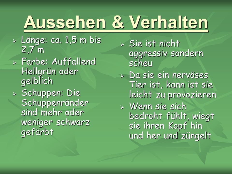 Aussehen & Verhalten Länge: ca. 1,5 m bis 2,7 m