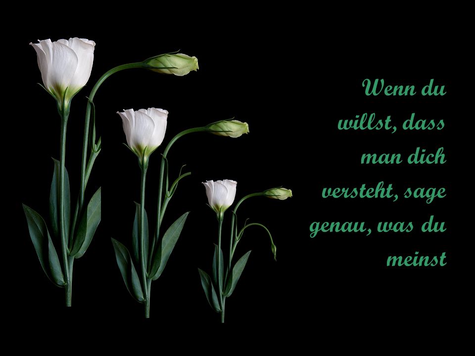 Wenn du willst, dass man dich versteht, sage genau, was du meinst