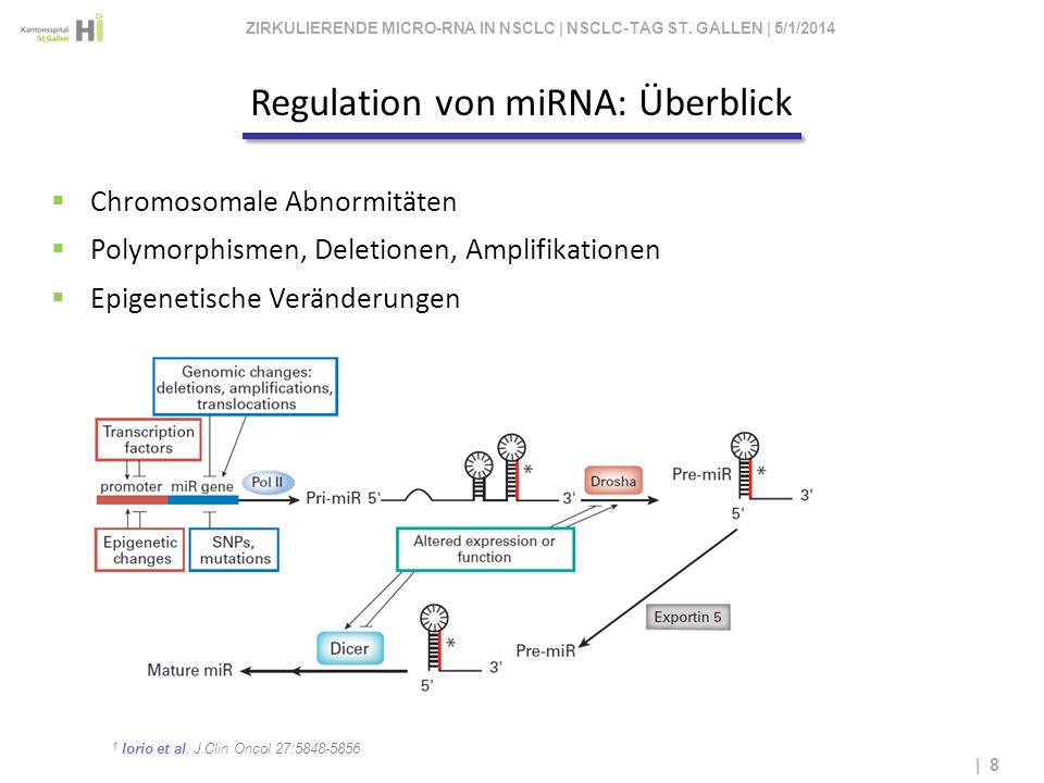 ZIRKULIERENDE MICRO-RNA IN NSCLC | NSCLC-TAG ST. GALLEN | 3/28/2017