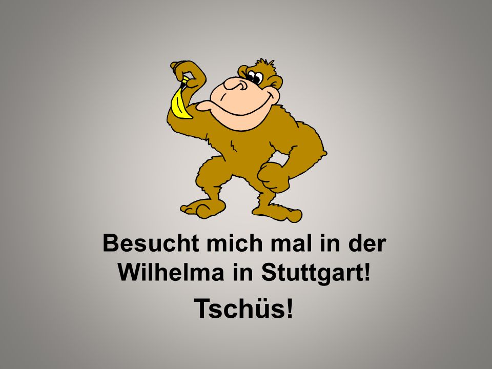 Besucht mich mal in der Wilhelma in Stuttgart!