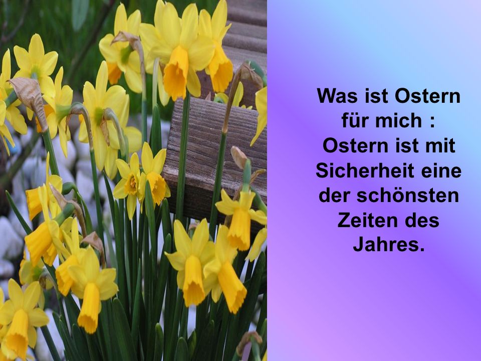 Was ist Ostern für mich : Ostern ist mit Sicherheit eine der schönsten Zeiten des Jahres.