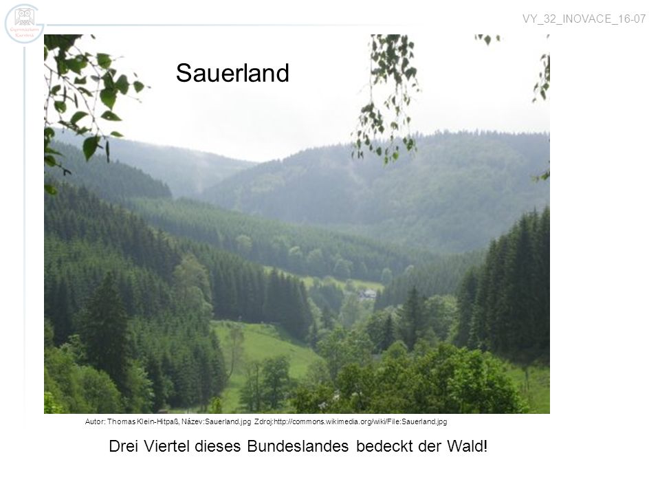 Sauerland Bodensee Drei Viertel dieses Bundeslandes bedeckt der Wald!