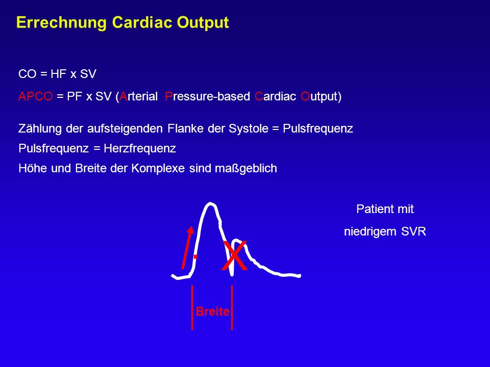 . . X Errechnung Cardiac Output CO = HF x SV