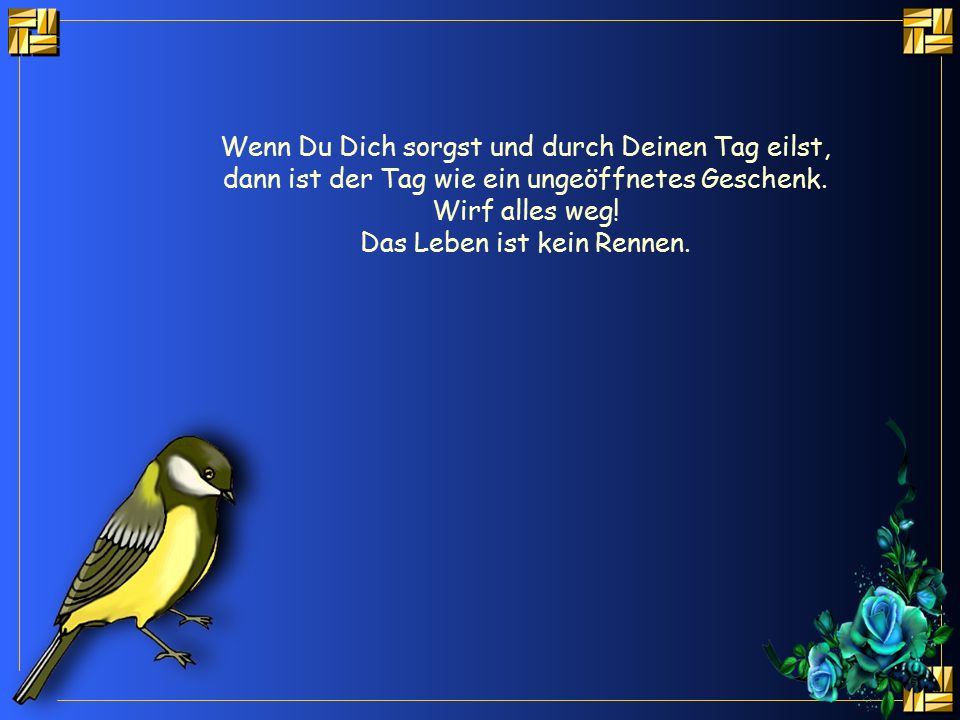 Wenn Du Dich sorgst und durch Deinen Tag eilst,