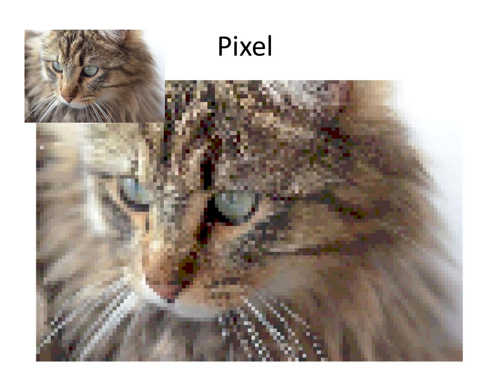 Pixel Ein digitales Bild besteht aus winzigen kleinen Bildpunkten (Pixel).