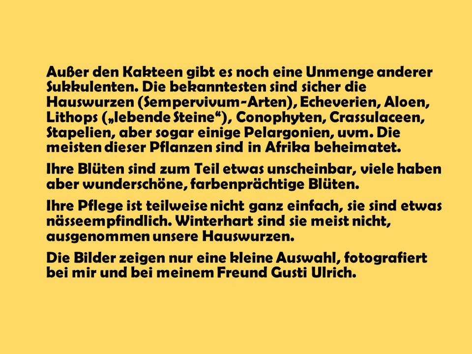 Außer den Kakteen gibt es noch eine Unmenge anderer Sukkulenten