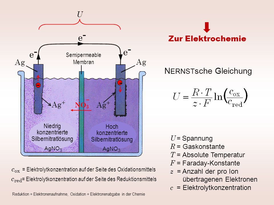 e- e- e- NERNSTsche Gleichung U Zur Elektrochemie A g A g Ag+ Ag+ NO3