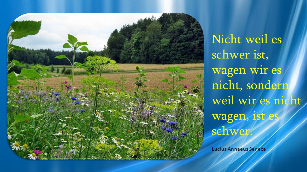 Nicht weil es schwer ist, wagen wir es nicht, sondern weil wir es nicht wagen, ist es schwer.