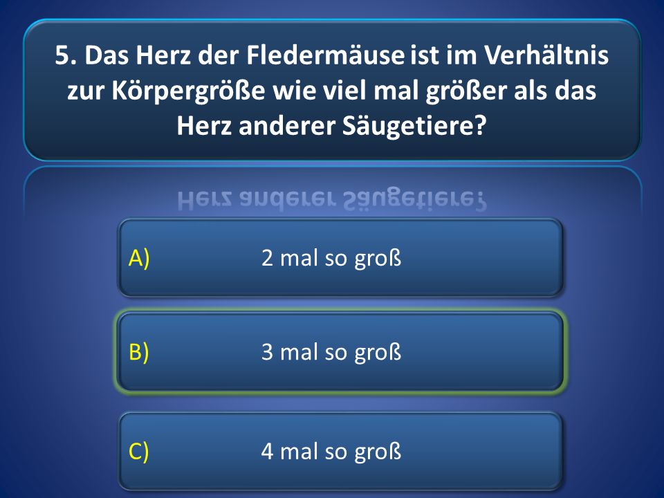 5. Das Herz der Fledermäuse ist im Verhältnis zur Körpergröße wie viel mal größer als das Herz anderer Säugetiere