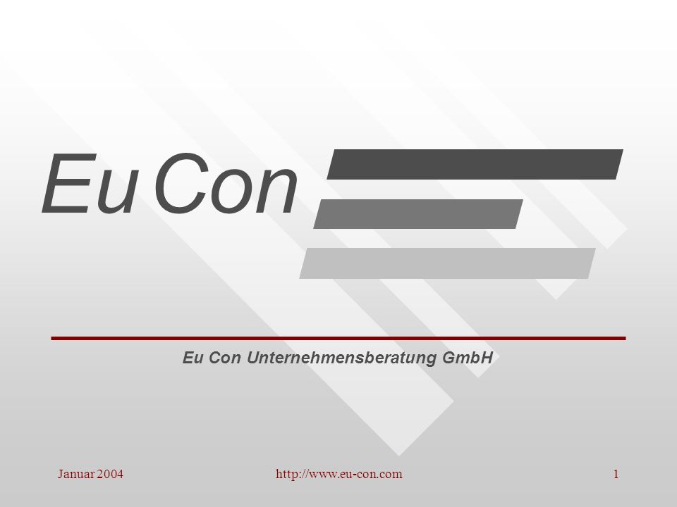 Eu Con Eu Con Unternehmensberatung GmbH Januar 2004