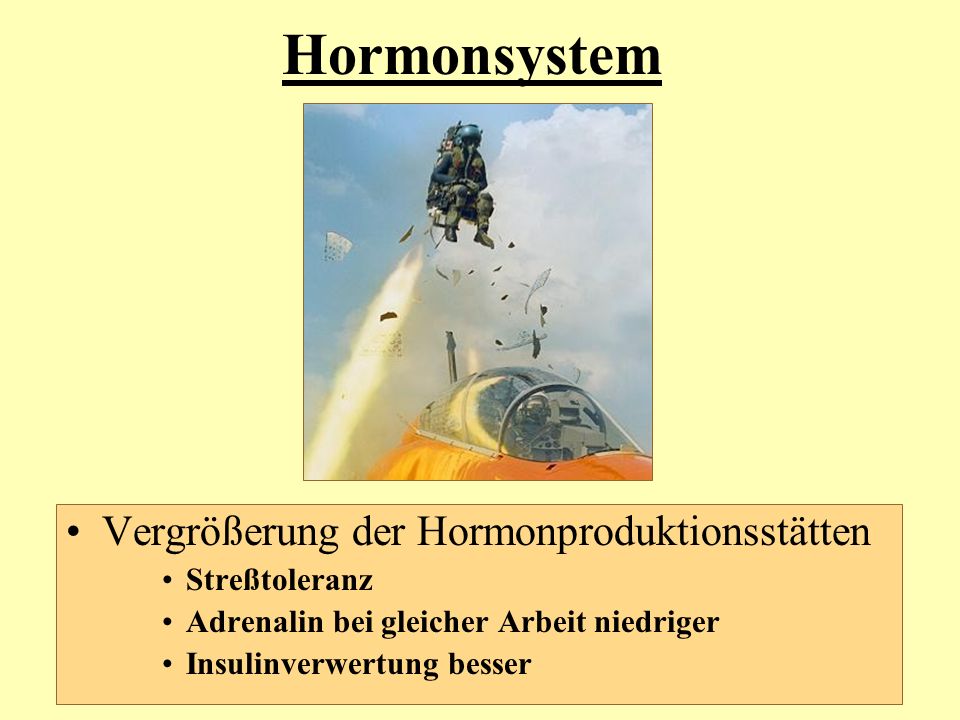 Hormonsystem Vergrößerung der Hormonproduktionsstätten Streßtoleranz