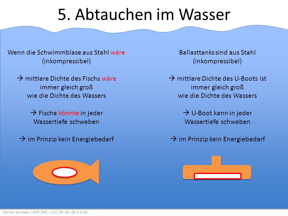 5. Abtauchen im Wasser Wenn die Schwimmblase aus Stahl wäre (inkompressibel)
