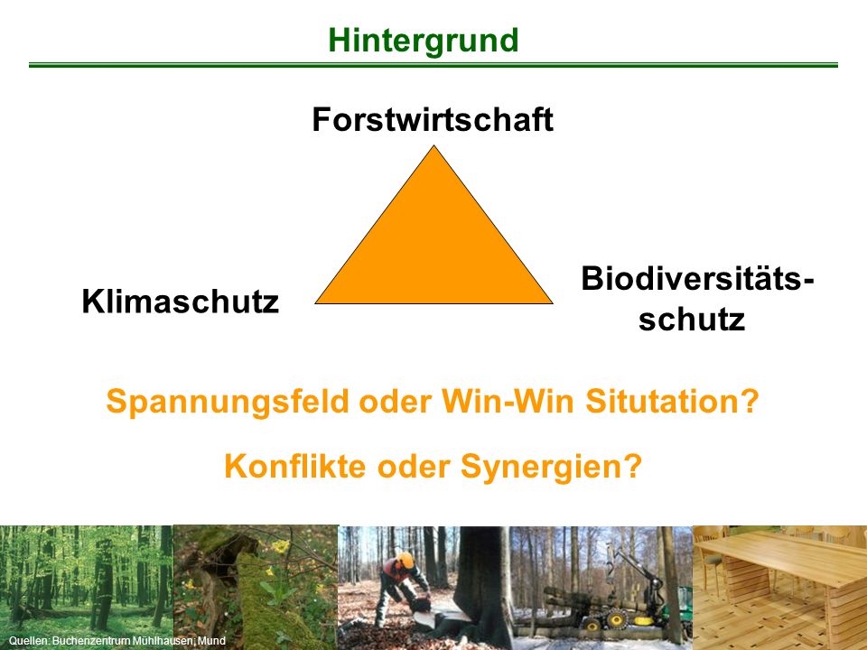 Hintergrund Forstwirtschaft. Biodiversitäts- schutz. Klimaschutz. Spannungsfeld oder Win-Win Situtation