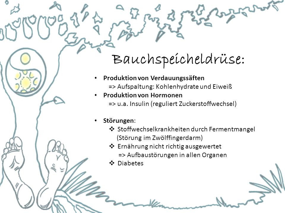 Bauchspeicheldrüse: Produktion von Verdauungssäften